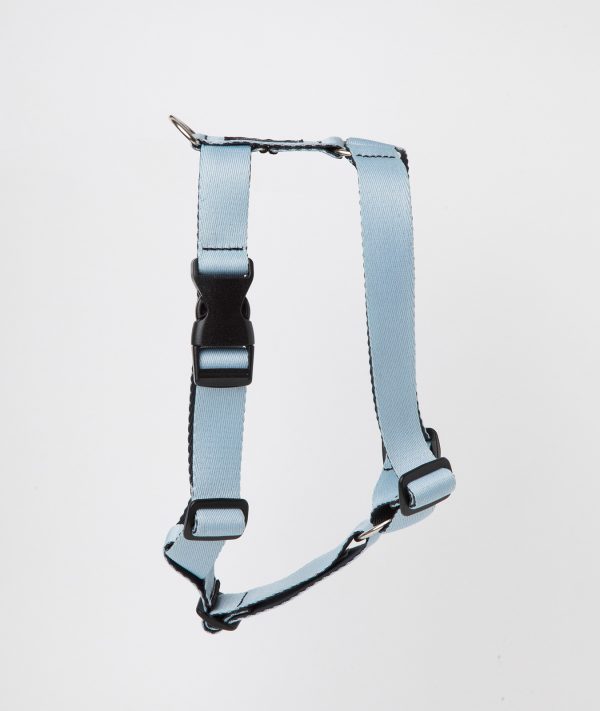 Arnes Azul