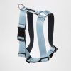 Arnes Azul