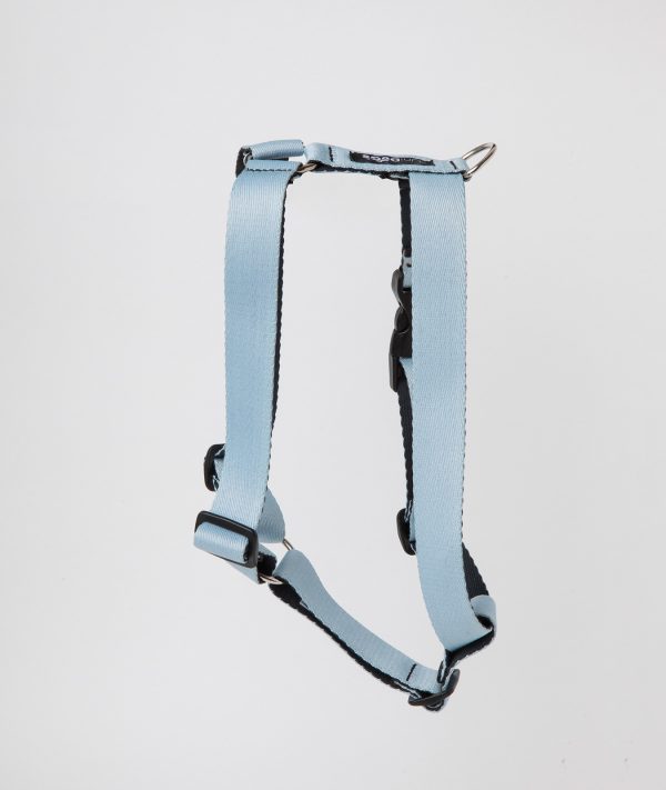 Arnes Azul