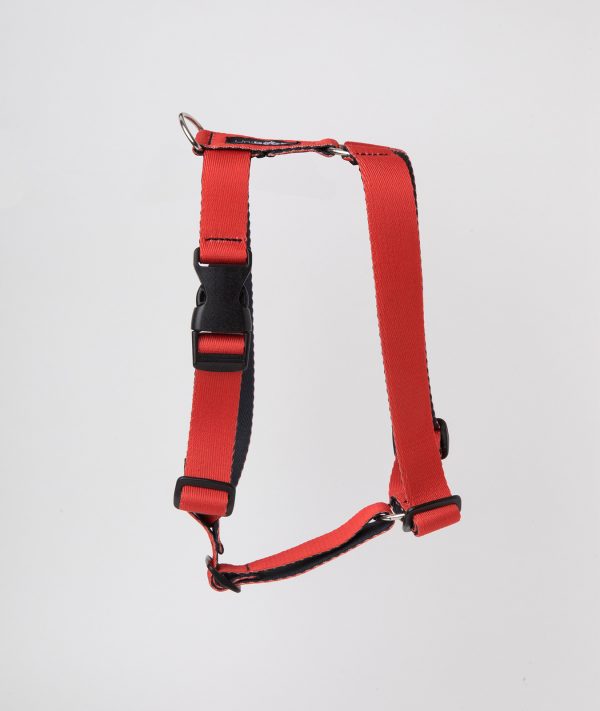 Arnes Rojo