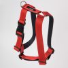 Arnes Rojo