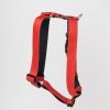 Arnes Rojo