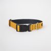 Collar c2 Amarillo
