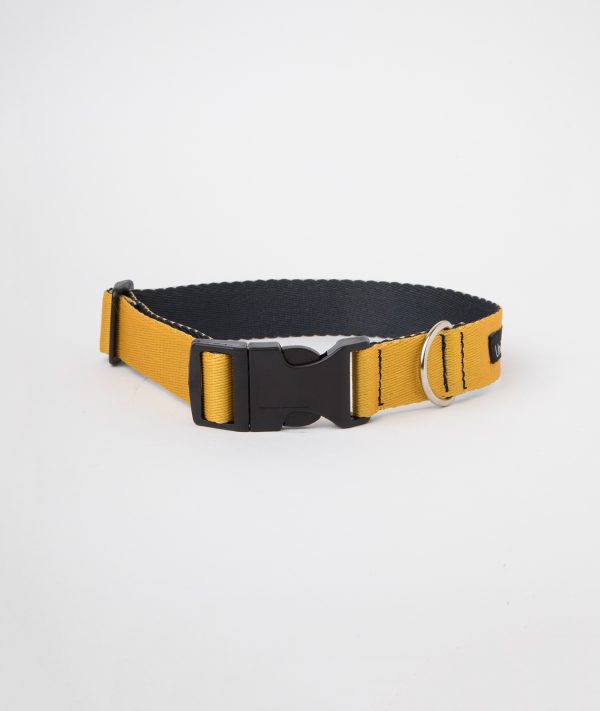 Collar c2 Amarillo