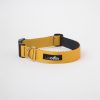 Collar c2 Amarillo