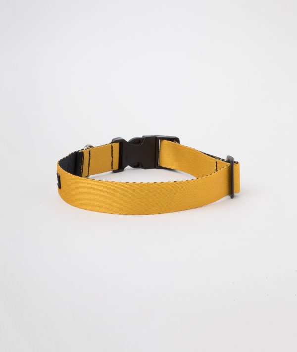 Collar c2 Amarillo