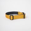 Collar c2 Amarillo