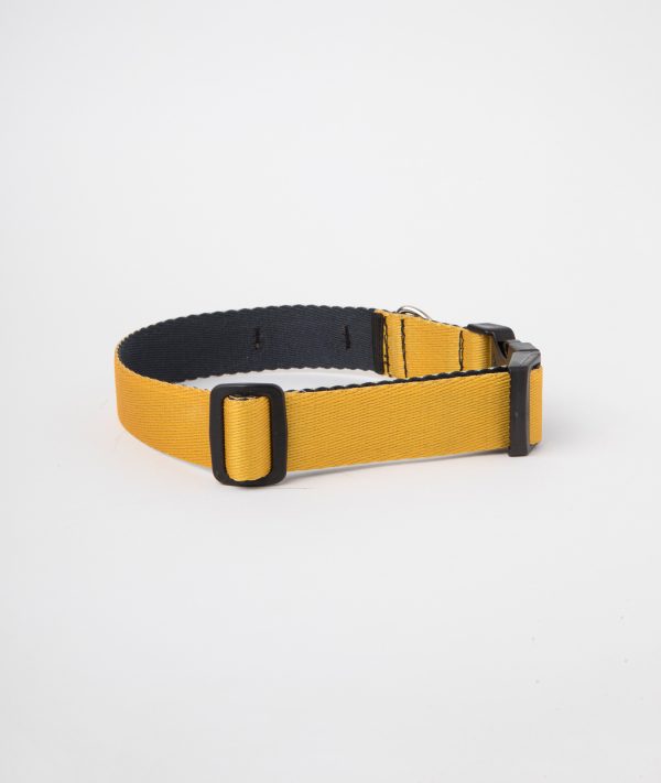 Collar c2 Amarillo