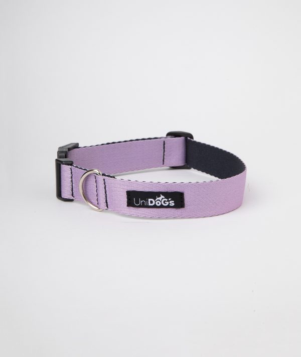 Collar c2 Lila