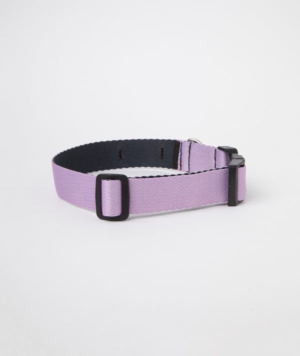 Collar c2 Lila