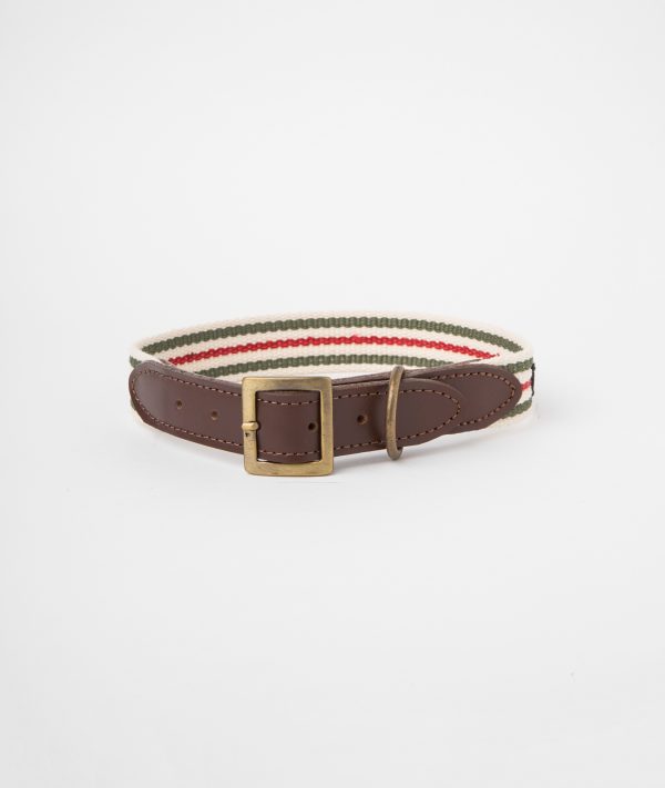 Collar c1 Rayas