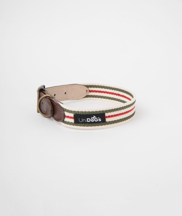 Collar c1 Rayas