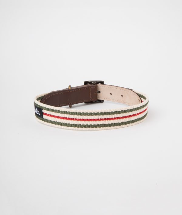 Collar c1 Rayas