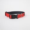 Collar c2 Rojo