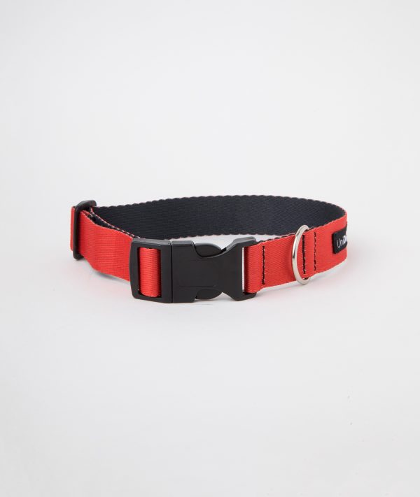 Collar c2 Rojo