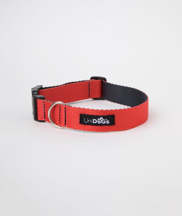 Collar c2 Rojo