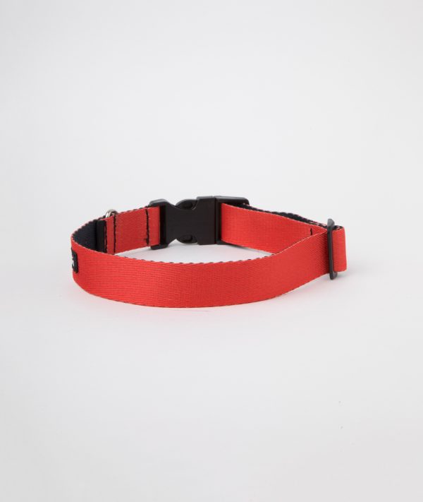 Collar c2 Rojo