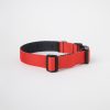 Collar c2 Rojo