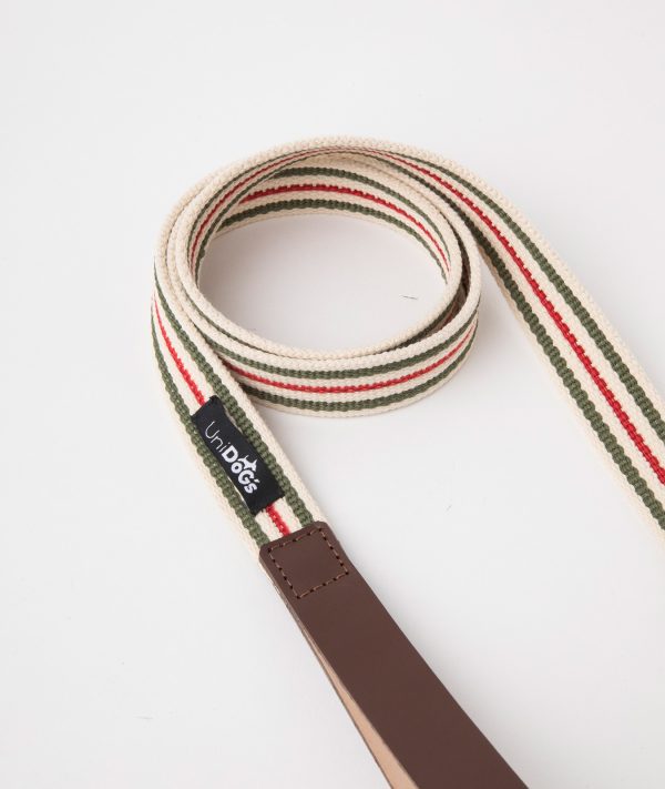 Correa c1 Rayas